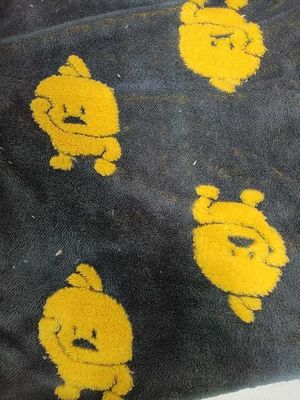 Dwuosobowy komfortowy aksamit bawełniany jest miękki i wygodny